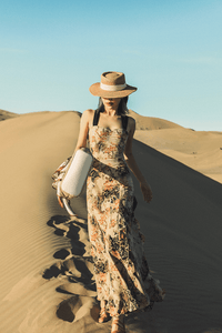 CB Flowy Chiffon Dress in Lark Print